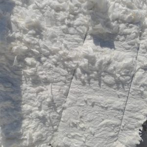 WhatsApp Image 2024-10-12 at 4.06.38 PM