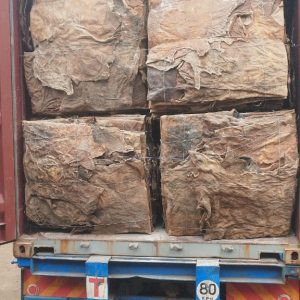 WhatsApp Image 2024-10-12 at 4.09.38 PM